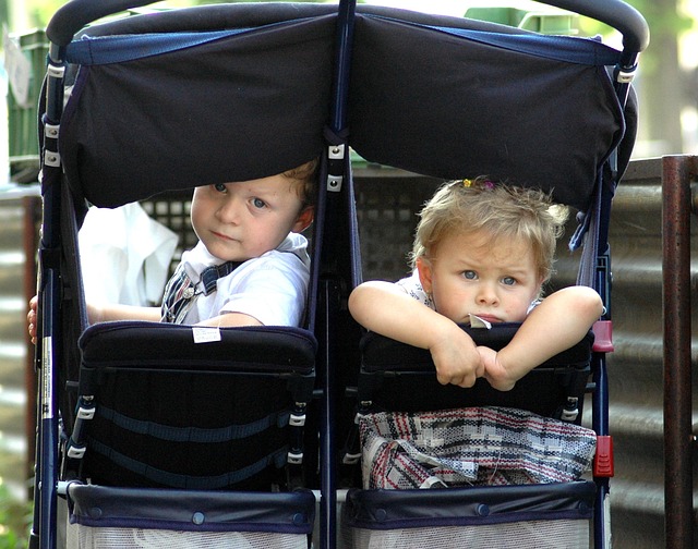 blizanci u kolicima