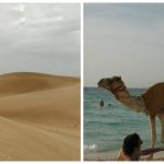 Pustinja_Emirati